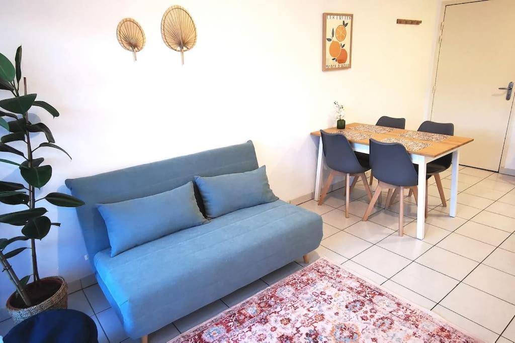 Grand Studio Lumineux Et Sa Terrasse Au Calme ตูลูส ภายนอก รูปภาพ