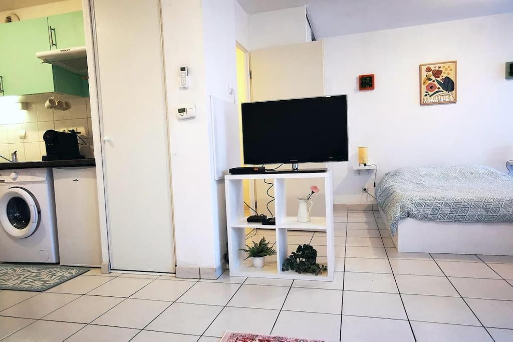 Grand Studio Lumineux Et Sa Terrasse Au Calme ตูลูส ภายนอก รูปภาพ